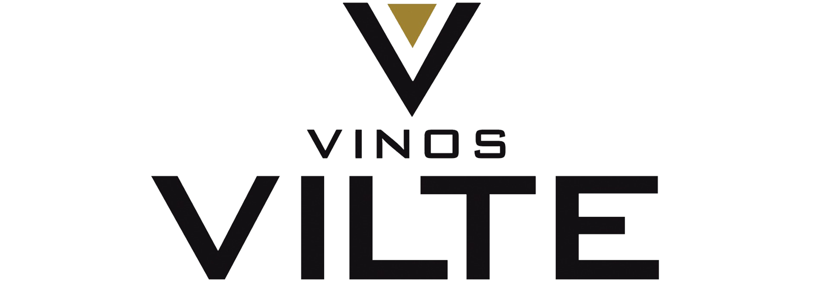 CONGRESO_VILTE